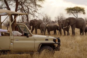 Medical Elective in Tanzania