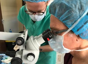medical and health care elective projects Tanzania