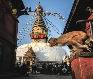 Medical Elective placement Nepal