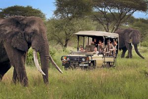 Tanzania Elective Placements