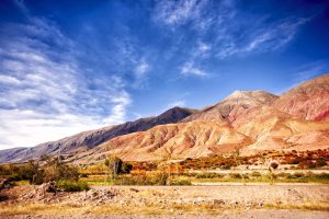 Medical Elective in Argentina