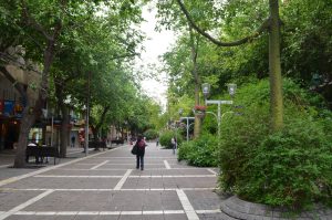 argentina elective placements
