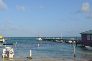 belize healthcare elective programs