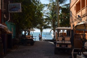 belize medical elective placements