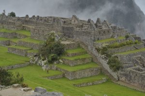 healthcare elective peru