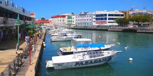 medical elective programs barbados
